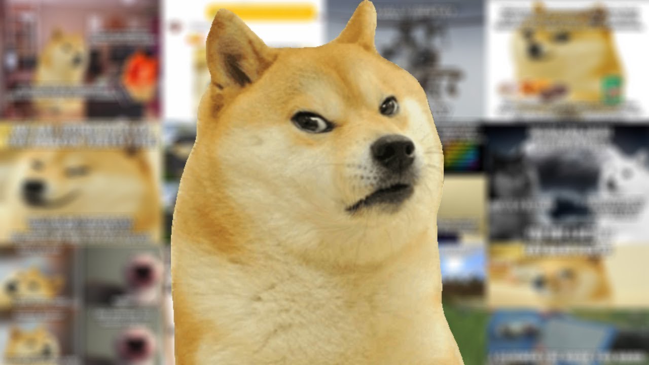 Doge Discovers Doge Lore Youtube