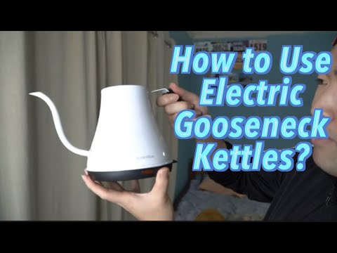 HadinEEon Electric Gooseneck Kettle Review! Worth it? 