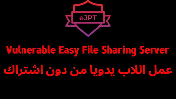 Vulnerable Easy File Sharing Server