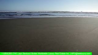 Miami Apartments - miami apartment living guide - find miami apartments for rent