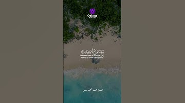 مرج البحرين يلتقيان | تلاوة خاشعة بصوت القارئ محمد أحمد حسن تُلامس القلوب