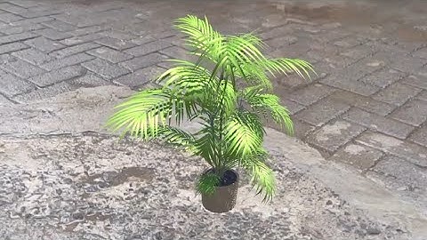 [Tutorial AR #4] Menampilkan Objek 3D Tanaman di atas Jalanan menggunakan Unity dan Vuforia Engine