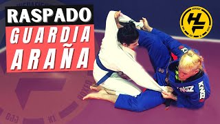 🥋 | Raspado de Guardia ARAÑA (Spider Guard) BJJ