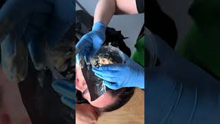 Making a Mold of Ears With Face-Gel 590 #lifecasting #smoothon #moldmaking
Adult Supervision Required
Keep Out Of Reach Of Children
Make It Now! with Smooth-On
https://www.smooth-on.com
https://www.facebook.com/SmoothOn
https://twitter.com/SmoothOn
https://www.instagram.com/SmoothOn Making a Mold of Ears With Face-Gel 590 #lifecasting #smoothon #moldmaking