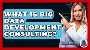 What Is Big Data Development Consulting? - Next LVL Programming