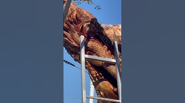 Nghệ Nhân Điêu Khắc Rồng Trên Lũa Cây Bonsai Me Keo #bonsai #caycanh