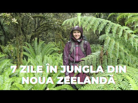 Video: Cele mai bune drumeții din Parcul Național Fiordland