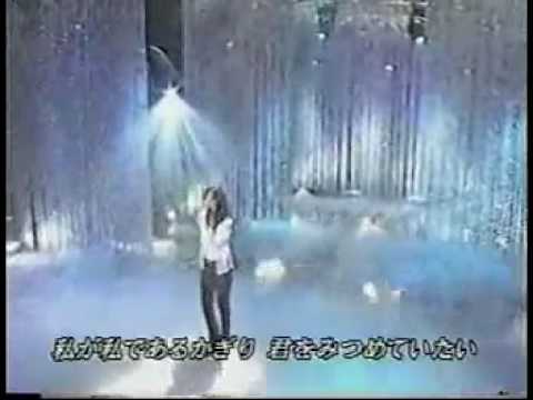 イルカの夏木村佳乃