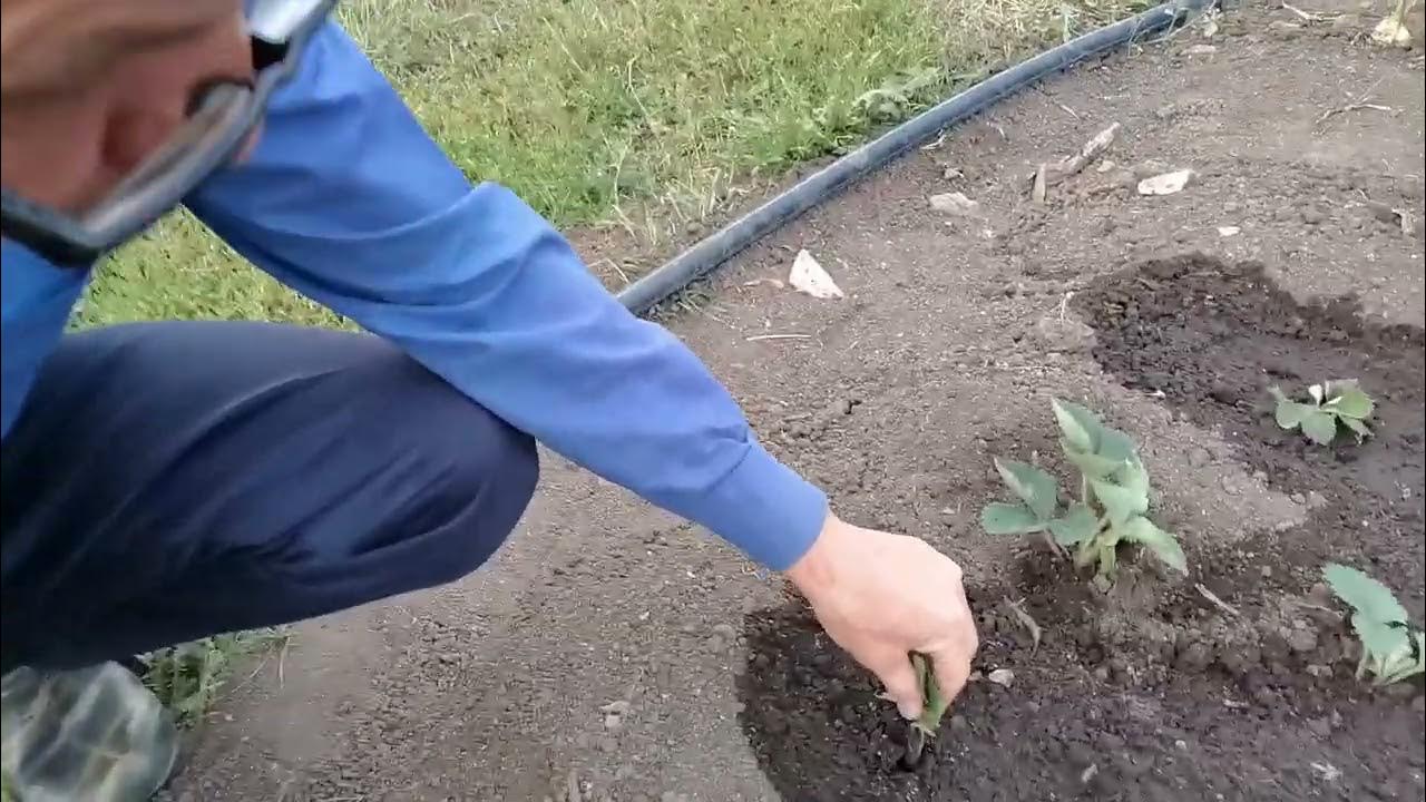 Екатерина Николаевна Вилькова жалаңаш