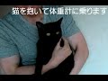 猫の体重のはかり方