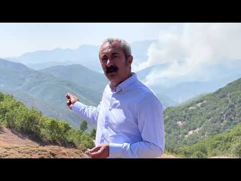 Dersim 62 tv