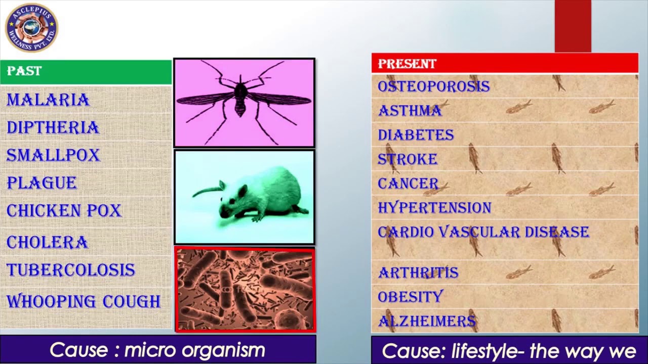 Awpl full plan in Hindi  Asclepius wellness Pvt Ltd
