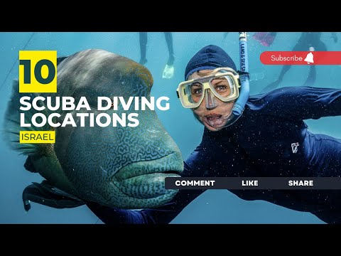 Video: Diving in Israel