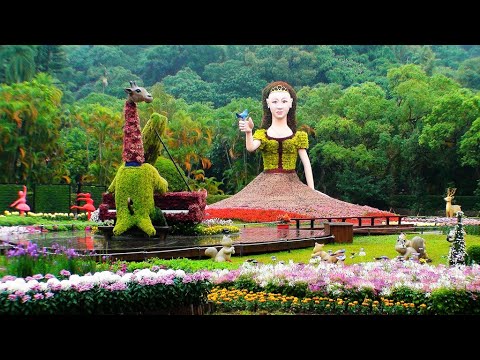 2019 11 22士林官邸菊展 18萬盆菊花盛宴 造景美崙美奐樂在菊中 2019 Shilin Residence Chrysanthemum Show Youtube