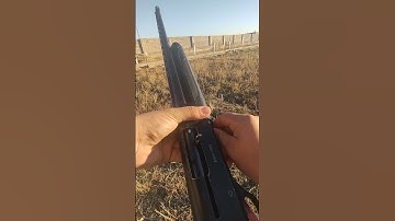 loading Turkish shotgun (model : number one )