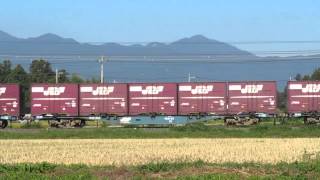 2013-09-28 8054列車　ジャガイモ臨貨