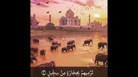 القرآن نور القلوب 💝. تلاوة للقارئ صلاح بوخاطر سورة الفيل❣️⁩🌋⁦♥️⁩