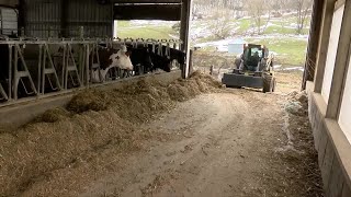 Government aid now a reality for struggling dairy farmers