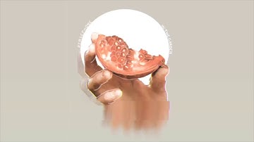 Persephone in the Garden — 2020 Release