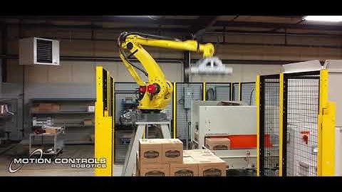 End of Line & Warehouse Robotics Solutions