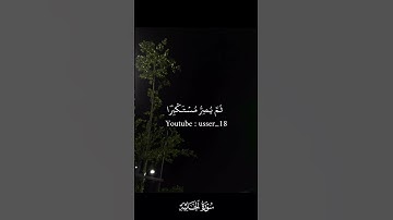 يسمع ايات الله تتلى عليه | سوره الجاثيه #ياسر_الدوسري