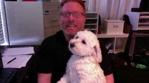 How do demerit points work in Ontario ?