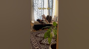 Life after office ❤️ #shorts #shortvideo #youtube #home #treding #homedecor #homesweethome #youtube