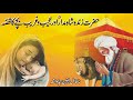 Hazrat Sha Madar Zinda Peer And strange child/हज़रत शाह मादर मकनपुर और अजीब बच्चा in urdu hindi