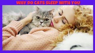 Why Does Your Cat Choose to Sleep With You? by PetMastery 155 views 3 months ago 7 minutes, 21 seconds