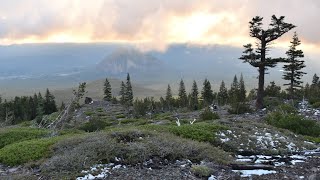 (#170) A Short Jaunt Up, a Steep Climb, & a Search for a Long Lost Cryptic Fern