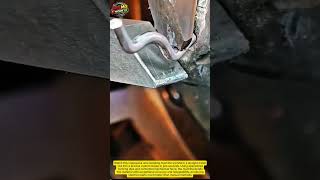 Amazing Wire Bending Machine | Precision Metal Forming in Seconds