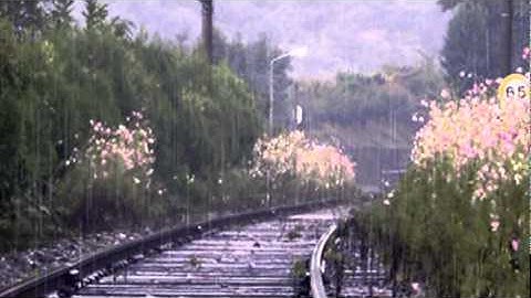 Thumbnail of René y René -- Cuando llegue a Phoenix (1,968)