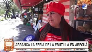 Arranca la feria de la frutilla en Areguá