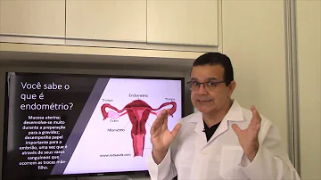 Em que momento ocorre a eliminação do endométrio a menstruação?