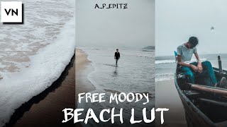 Moody Beach Free Lut | VN Lut | VN Editor Luts | Premiere Pro | Colour Grading In Mobile (VN Editor) screenshot 5