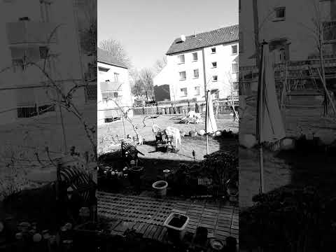 الهي انت تعلم كيف حالي