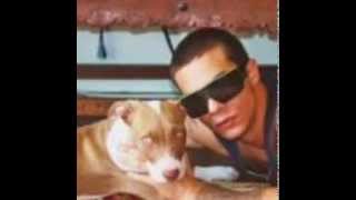 La Nueva Sangre - Camello