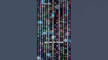 Genome wide Association Study (GWAS) analysis step by step #shorts