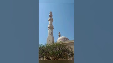 إن الله وملائكته يصلون على النبي يا أيها الذين آمنوا صلوا عليه وسلموا تسليما | القارئ أحمد النفيس .