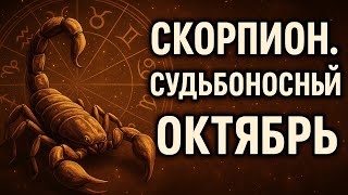 видео: Скорпион. Судьбоносный октябрь 2025 — гороскоп на месяц, предсказание судьбы, любовь, деньги, работа картинка: Скорпион. Судьбоносный октябрь 2025 — гороскоп на месяц, предсказание судьбы, любовь, деньги, работа