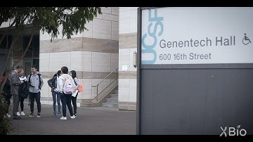 BIOMOD, a Molecular Design Competition for Undergraduates