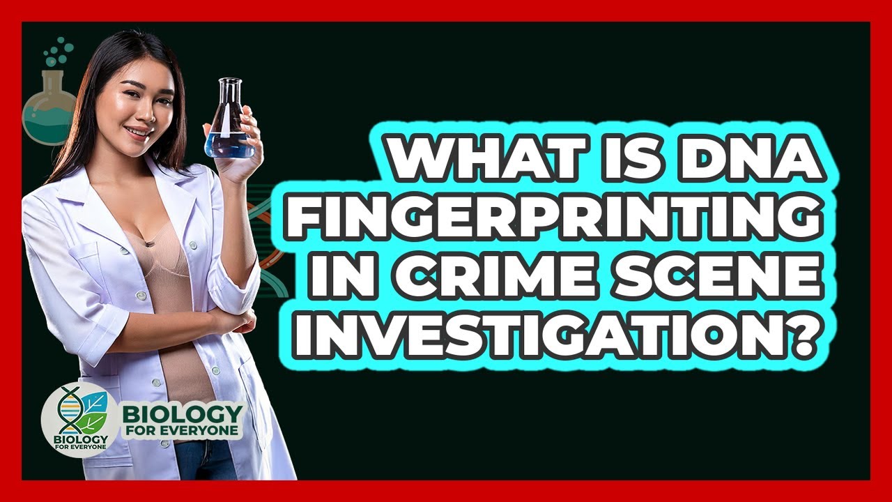 What Is DNA Fingerprinting In Crime Scene Investigation? - Biology For Everyone