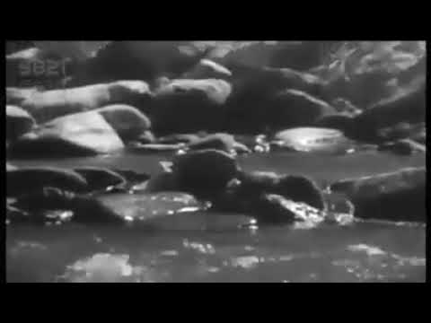 آهنگ بسیار زیبا از عباس منتجم شیرازی