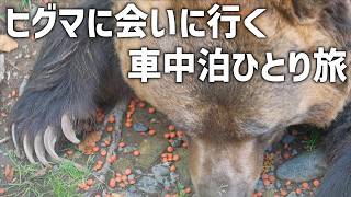 Visit Tokachi Shihoro in Hokkaido, Japan where you can see brown bears up close