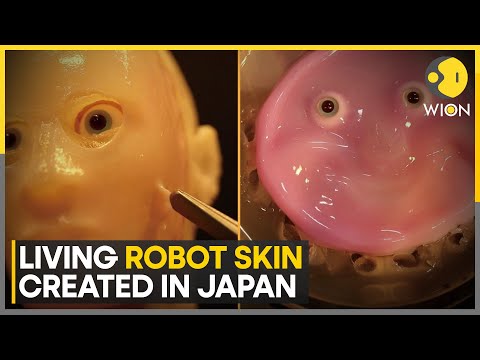 Japanese scientists create