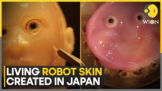 Japanese Scientists Create Living Robot Skin With Human Cells Latest News Wion
