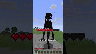 Stop Endermen