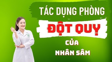Uống nhân sâm có tốt cho tim mạch không? Tác dụng phòng đột quỵ của nhân sâm | Hiền Đặng Mai