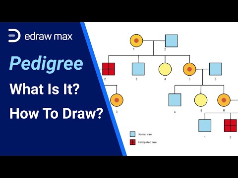 How to Create a Pedigree | How to Draw a Genogram | Hemophilia Pedigree Chart | EdrawMax