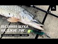 Весенняя щука на джиг-риг. Злые поклёвки. Бойкие щуки.